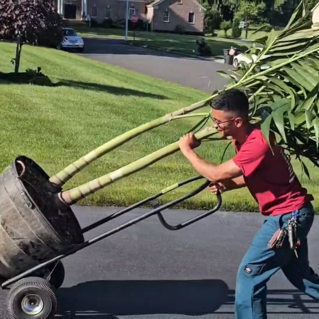 Backyard Delivery (Entire Order)