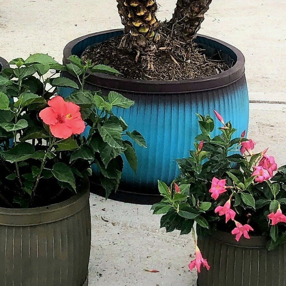 Rustic Elegance: Handmade Galvanized Metal Planters