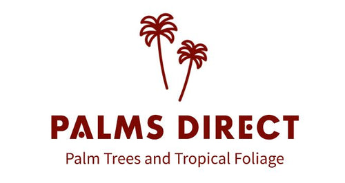 Palms Direct