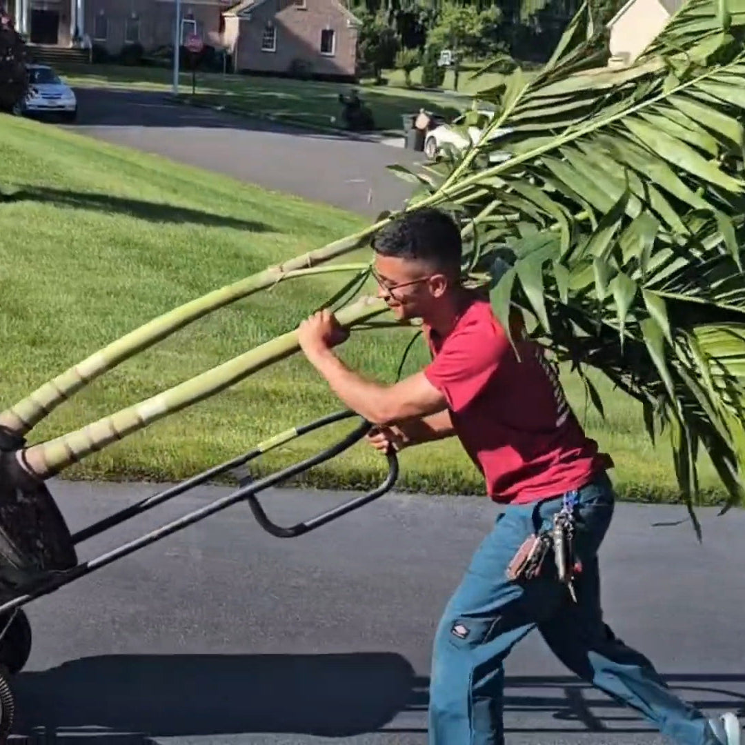 Load video: 